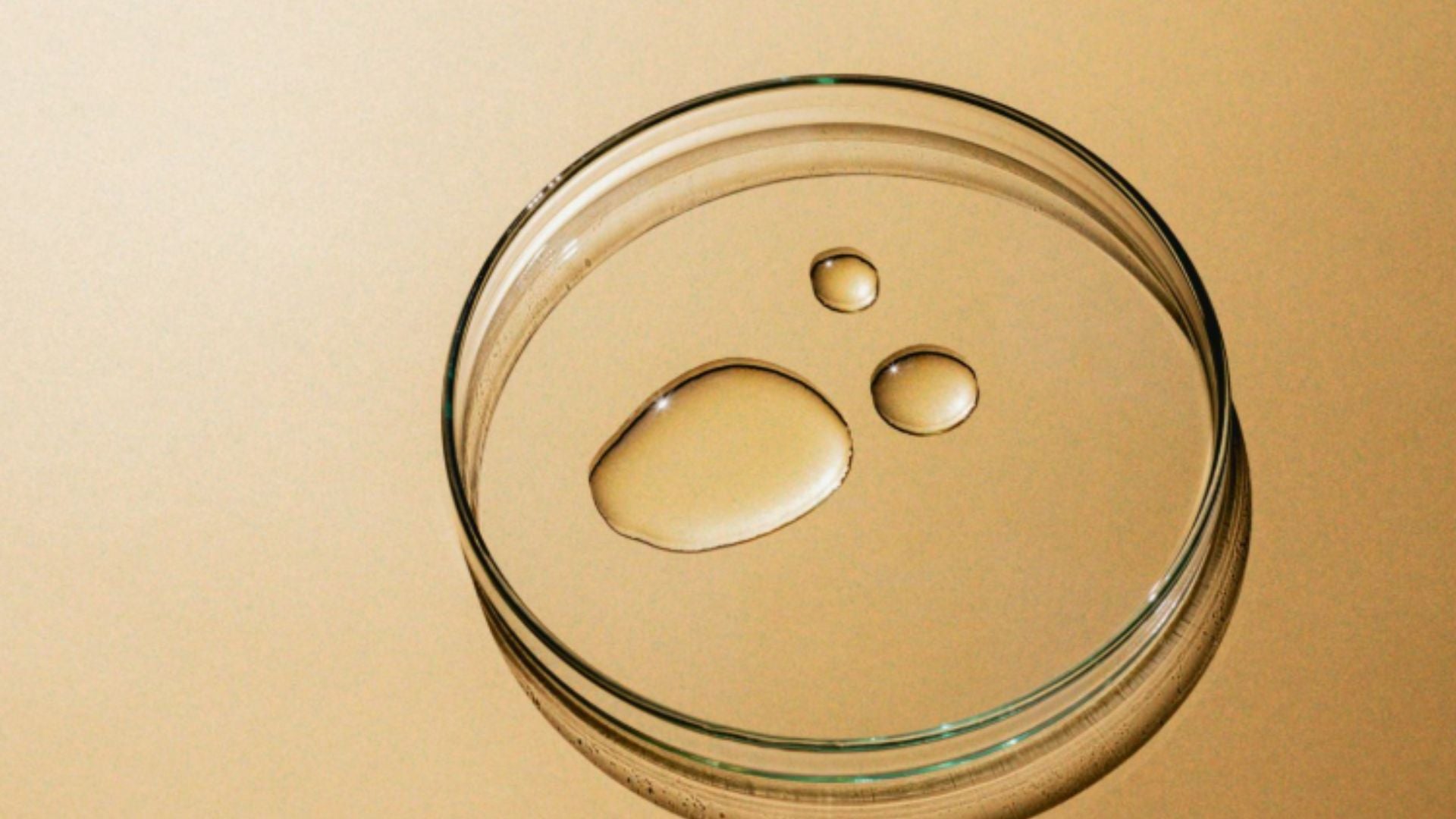Why Test Your Gut Microbiome?