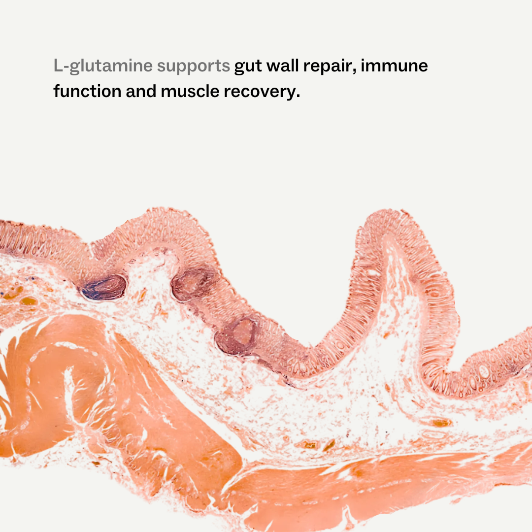 L-Glutamine
