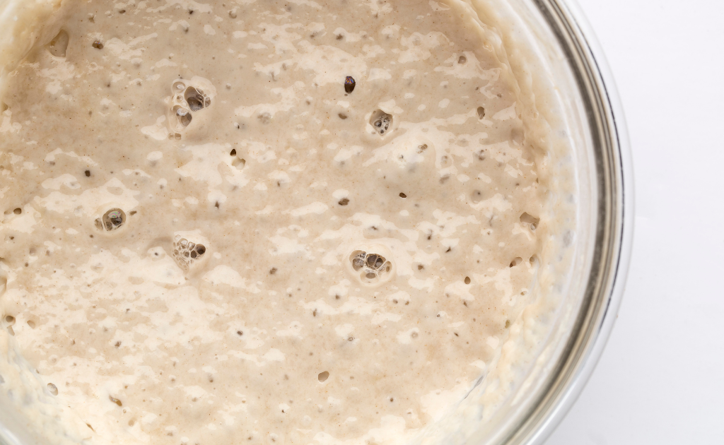 Beginner Sourdough Starter Recipe