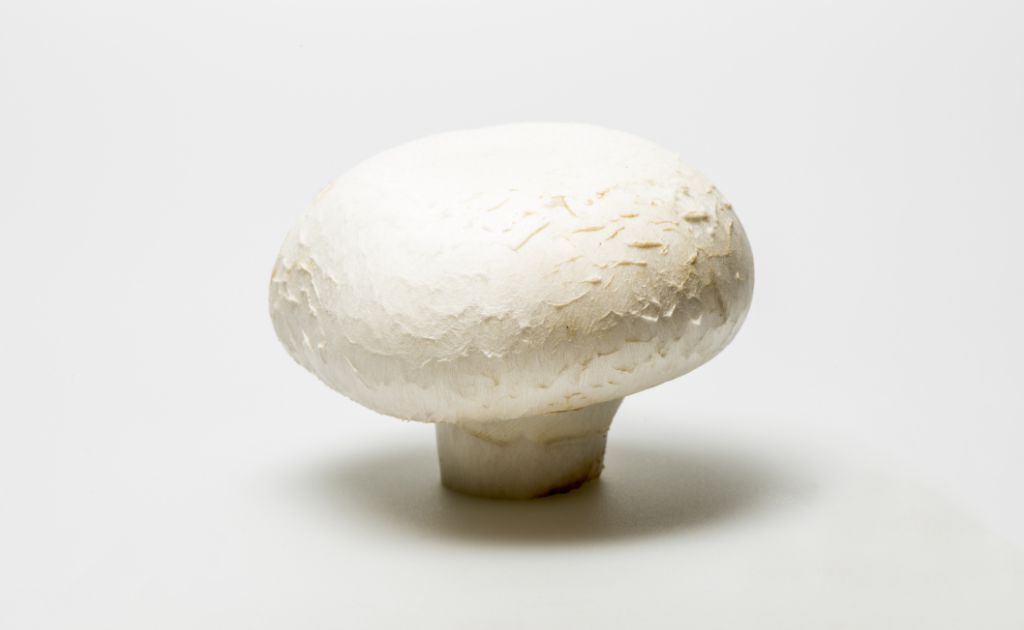 White button mushrooms inhibit breast cancer & balance hormones. But don