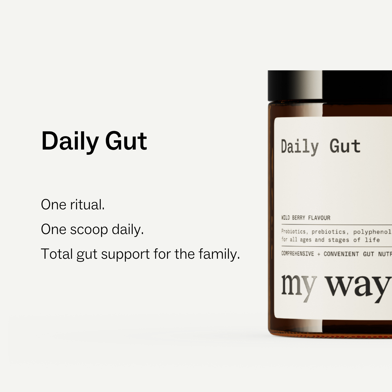 The Daily Foundations Stack