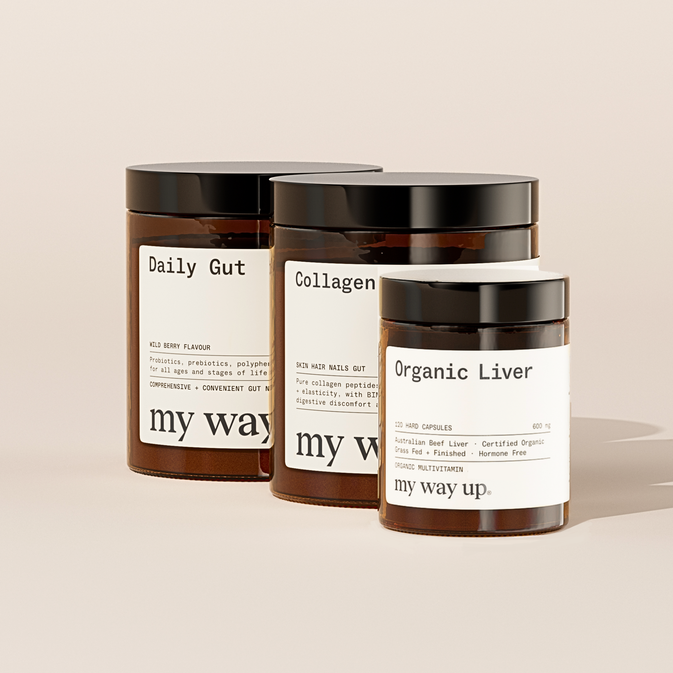 The Daily Foundations Stack