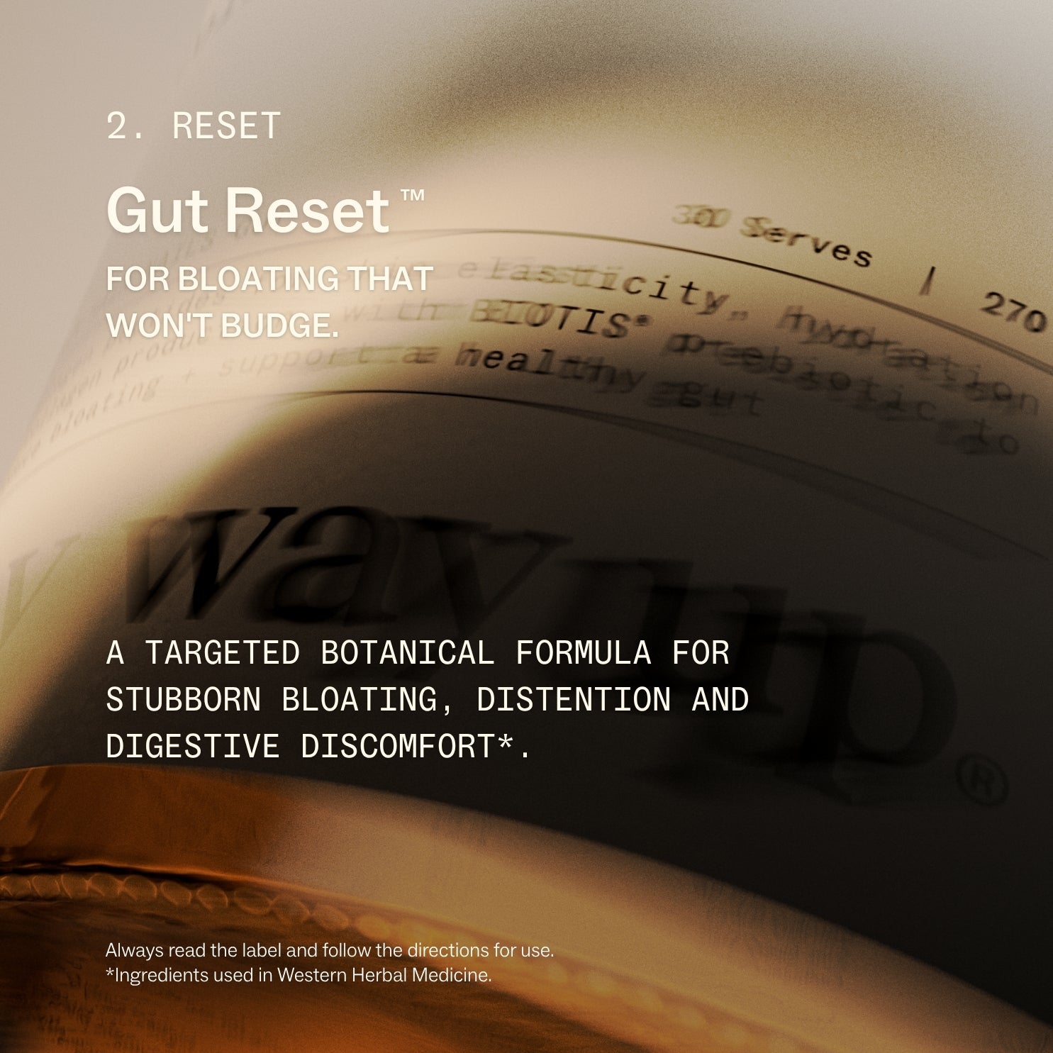 Advanced Gut Reset System