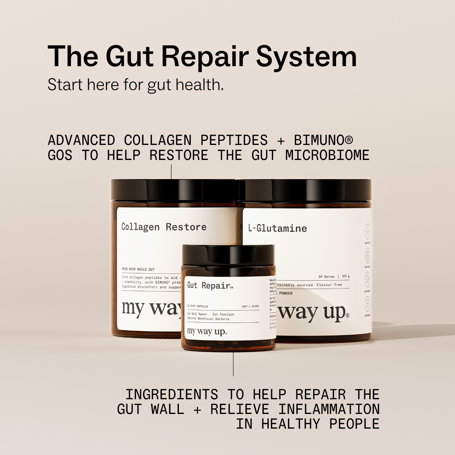 The Gut Repair System