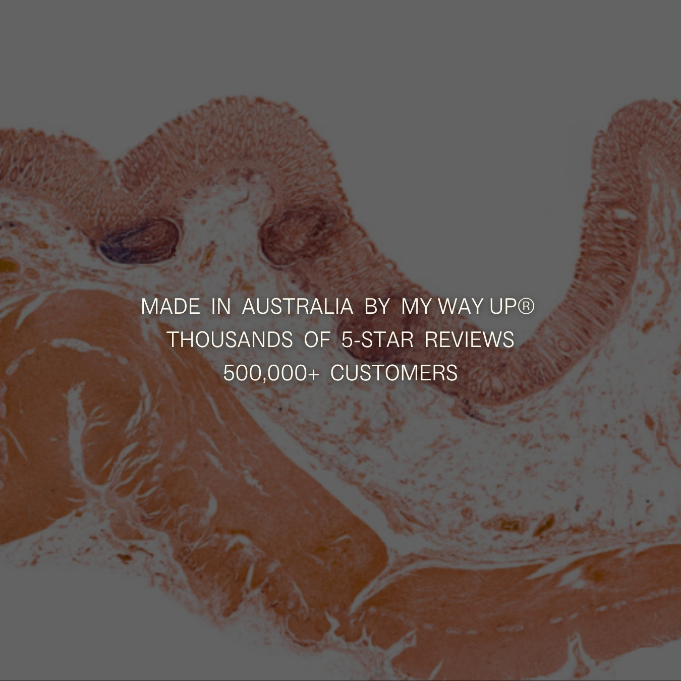 Advanced Gut Reset System