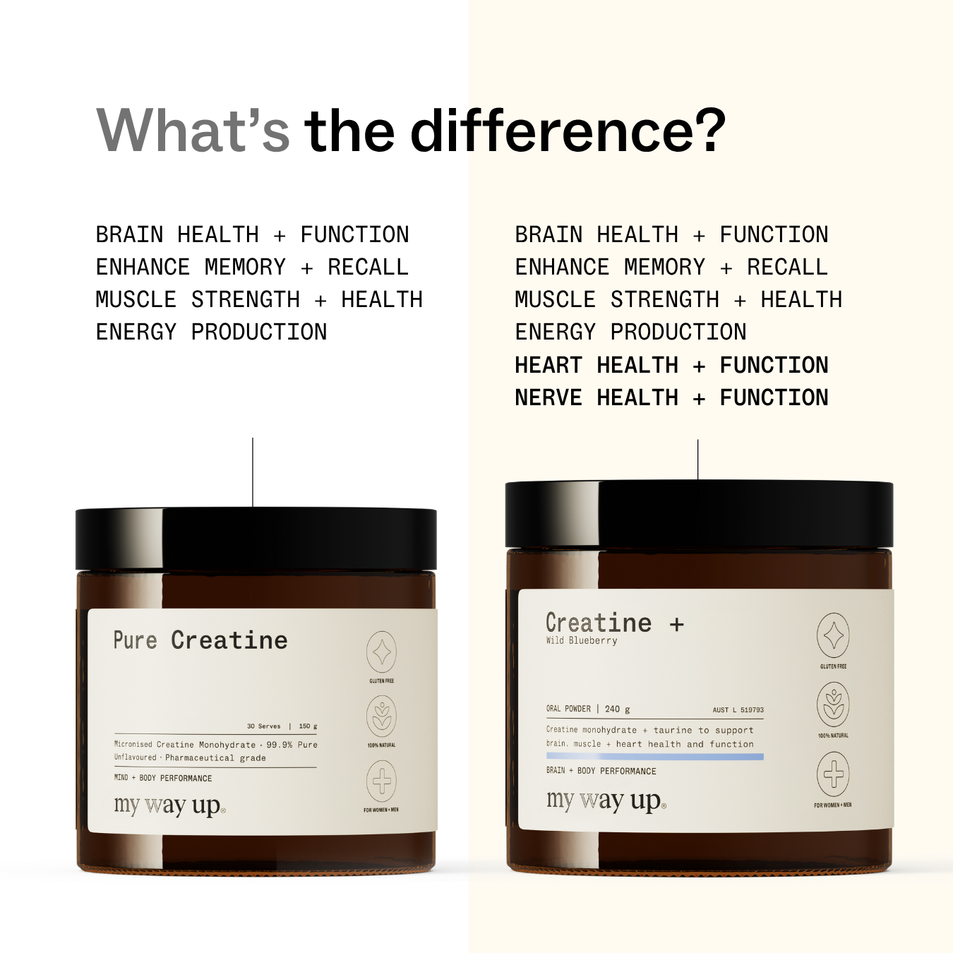 Creatine +