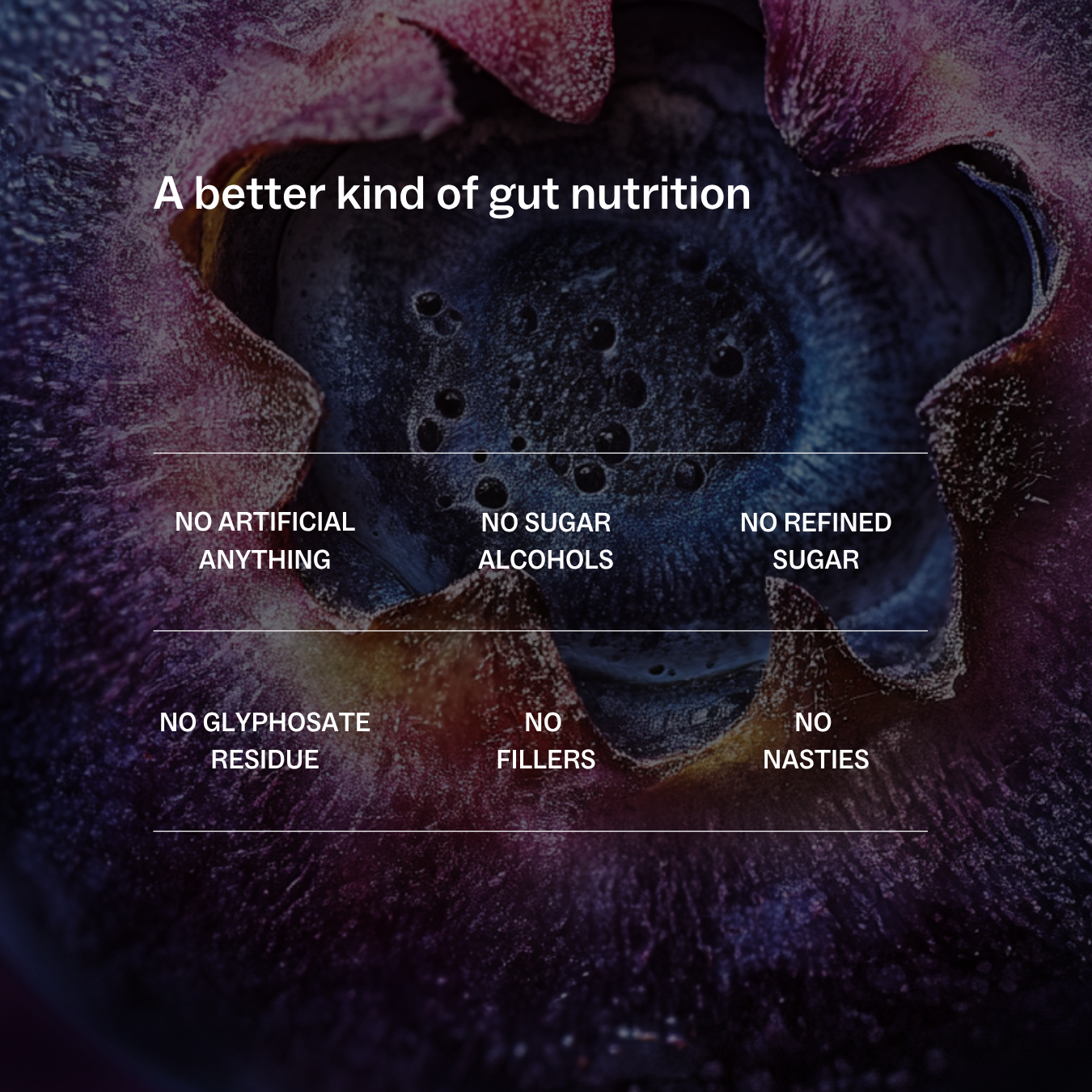 Daily Gut™