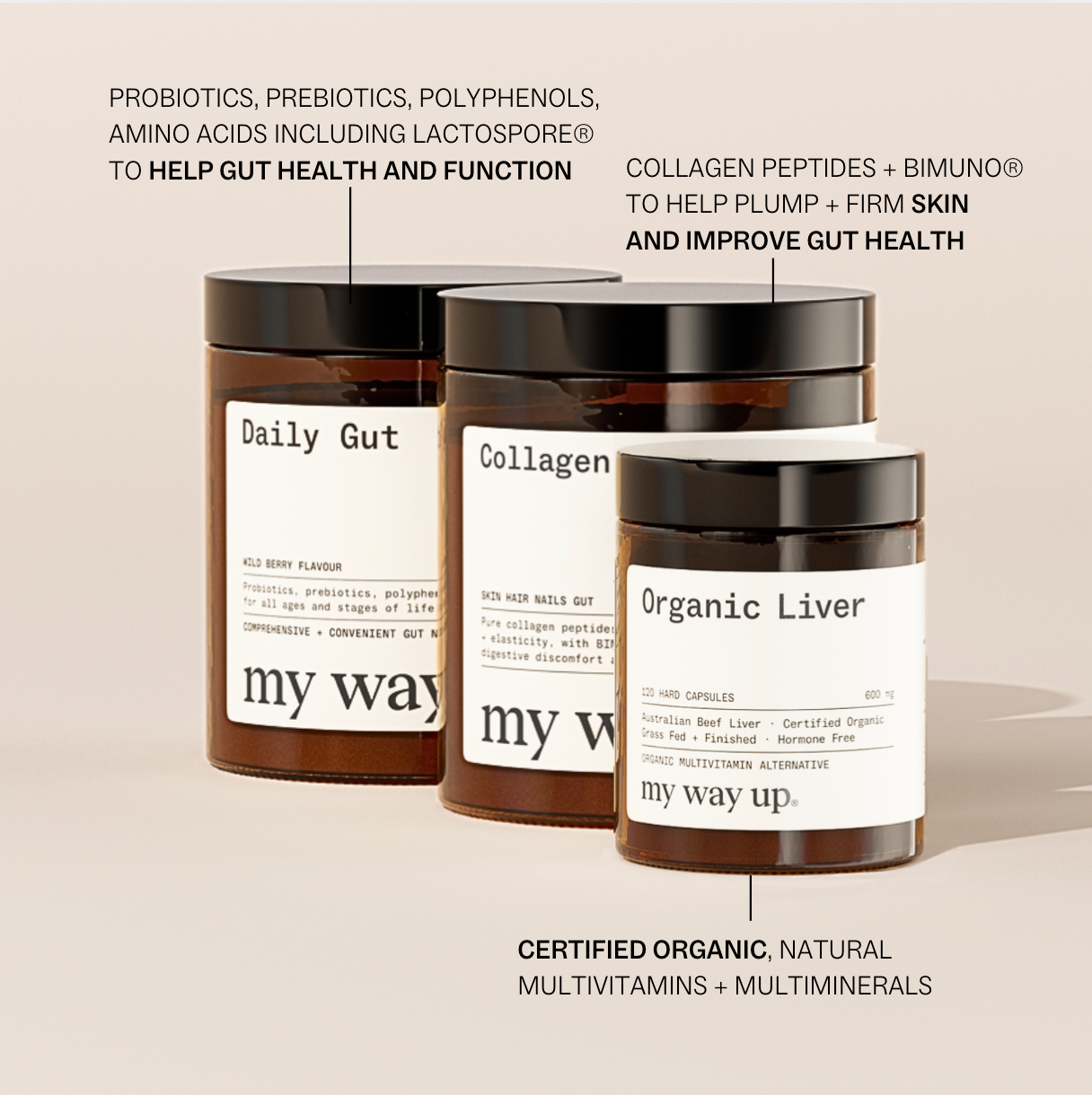 Complete Gut Maintenance System