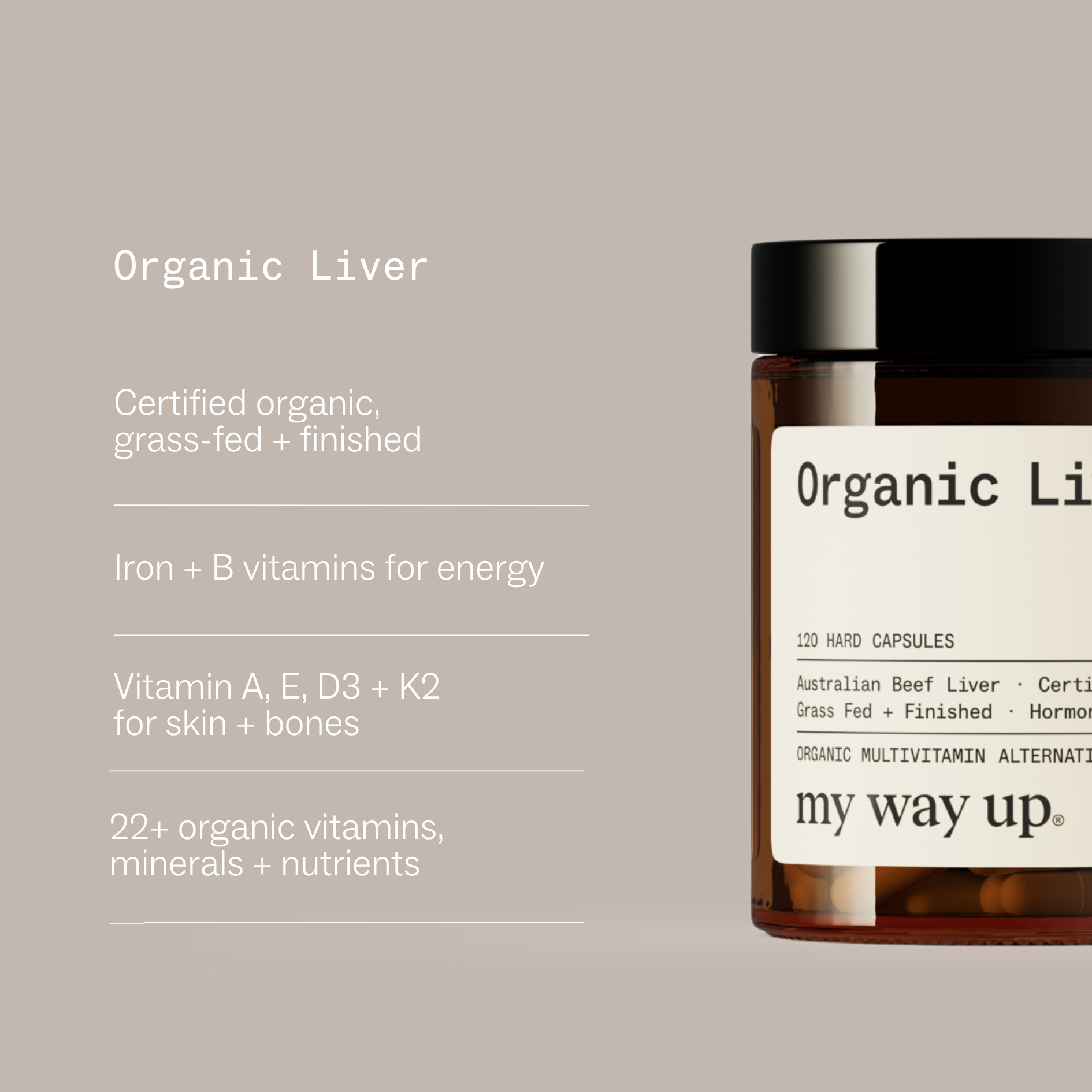 Longevity Support System