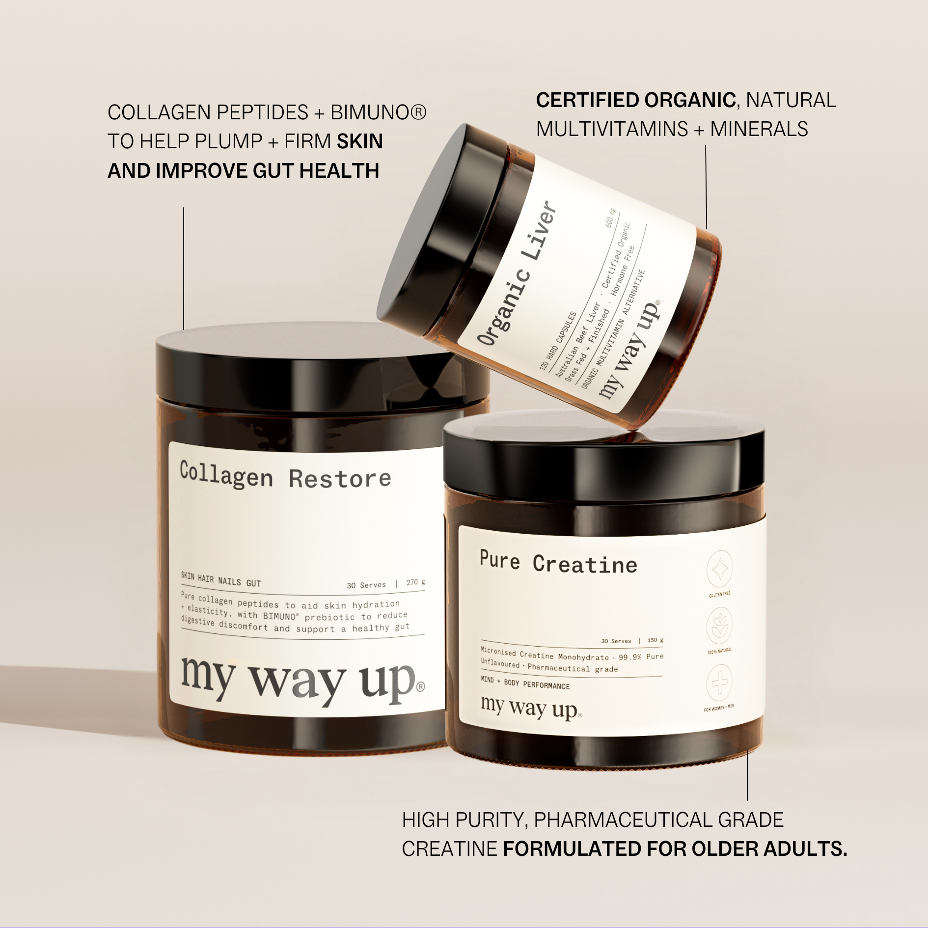 Longevity Support System