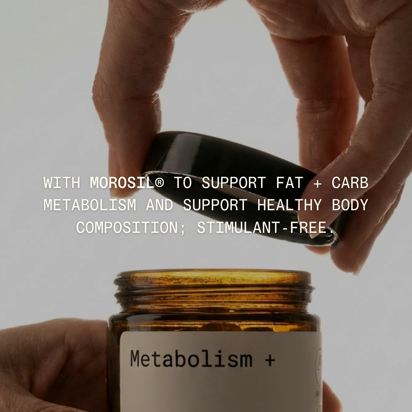 Weight Wellness System