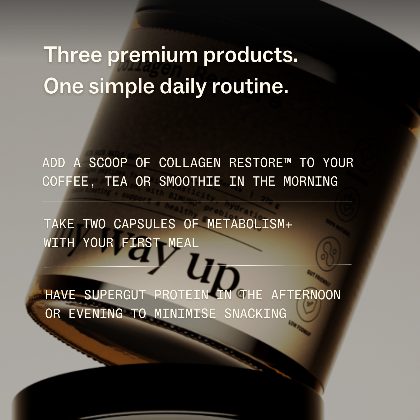 Weight Wellness System
