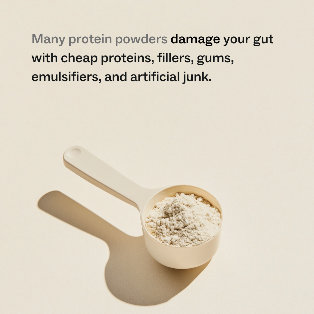 Supergut Protein