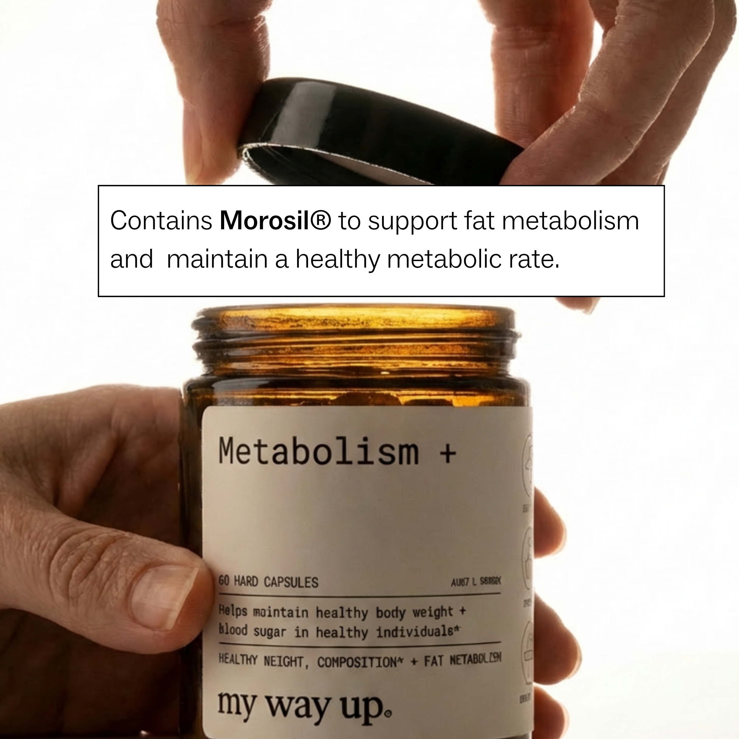 Weight Wellness System